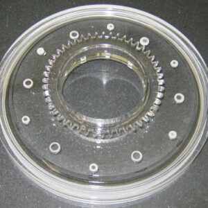 A circular glass plate with holes in it.